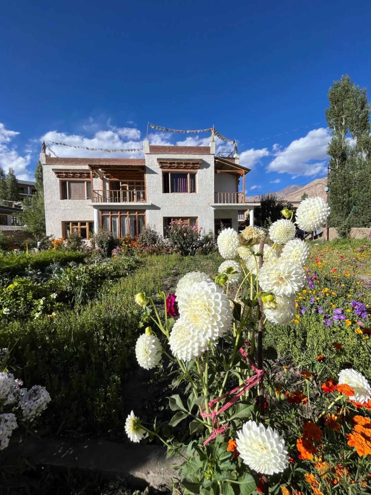 Chakzot Garden House Hotel Leh Eksteriør billede